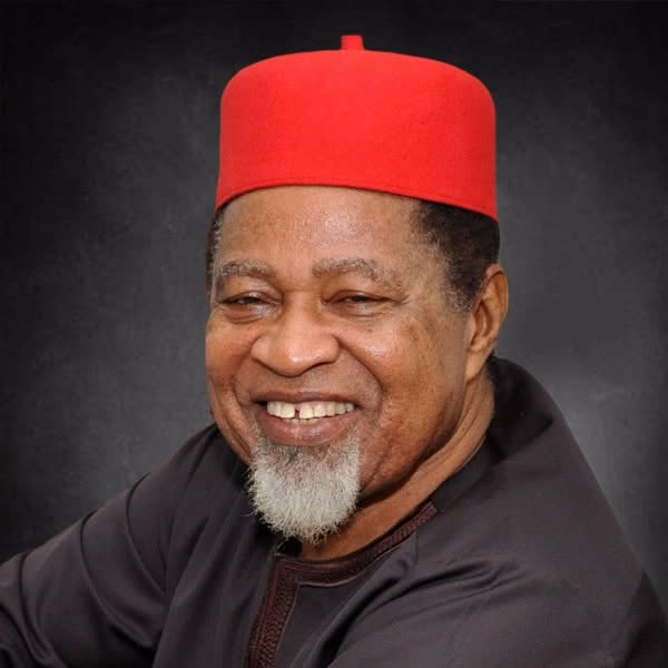 Chief (Dr) Best Anekwe - Chairman & Founder
